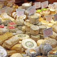 Cheese Display Multi
